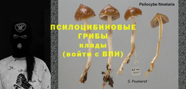 ГАЛЛЮЦИНОГЕННЫЕ ГРИБЫ Зеленодольск