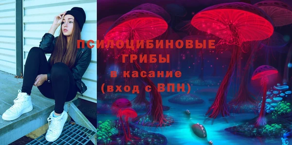 ГАЛЛЮЦИНОГЕННЫЕ ГРИБЫ Зеленодольск